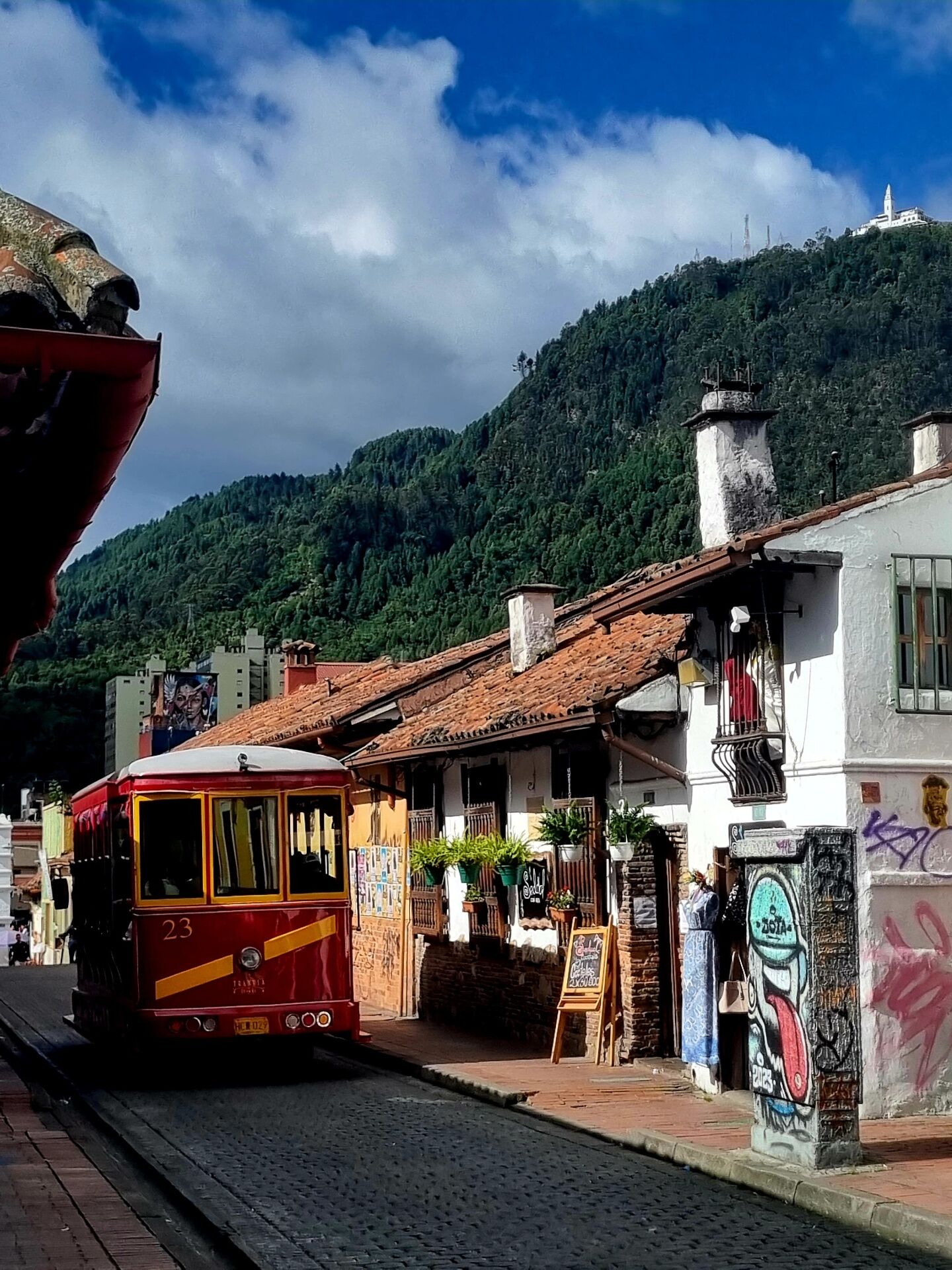 Colombia: Your Natural Apothecary