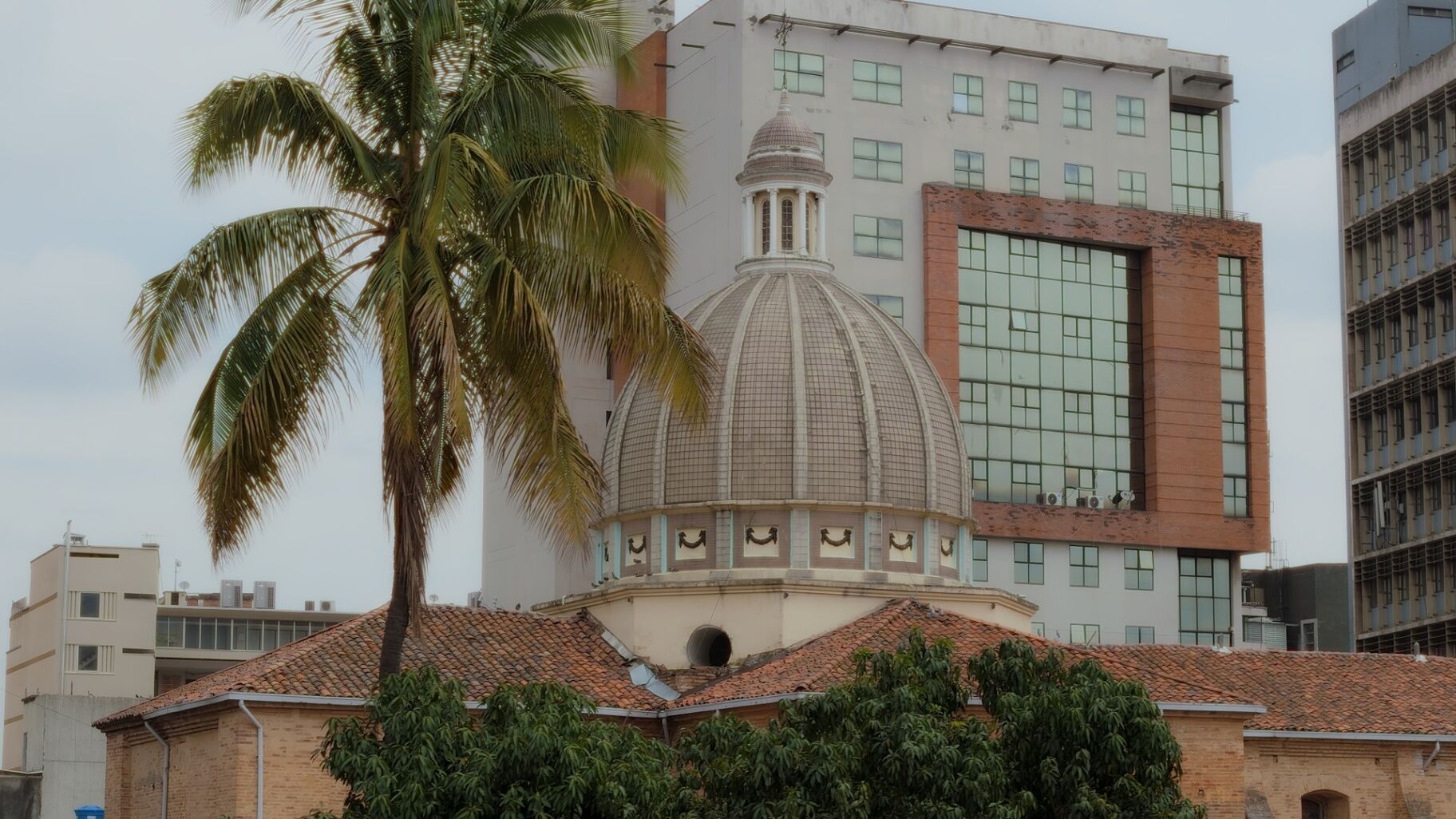 Cali dome and palms